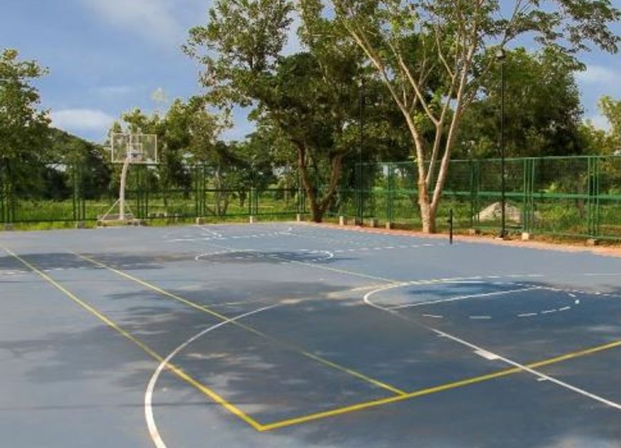 place photo 15