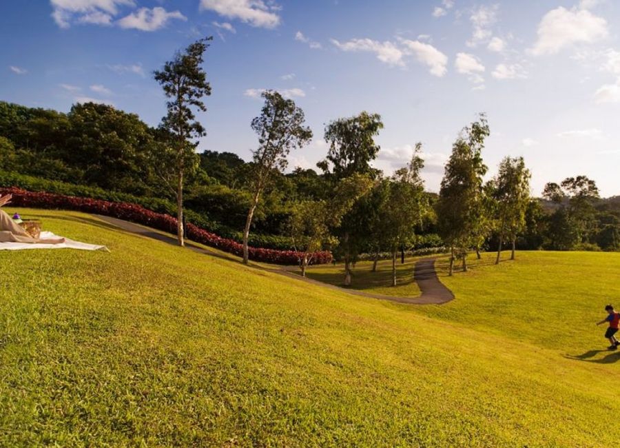 Spine Road, Ayala Greenfield Estates, Maunong, Calamba, Laguna image 3