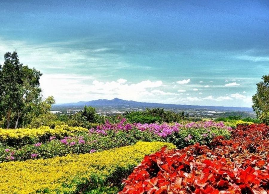 Ayala Greenfield Estates