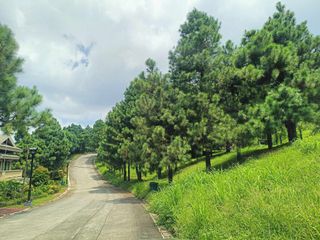 Pine Grove at Crosswinds