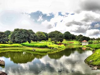 The Orchard Hills at Ayala Westgrove Heights