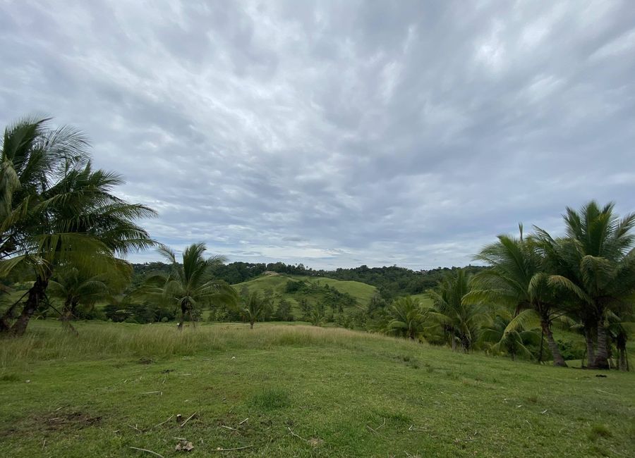 Alessandro Acres Subdivision