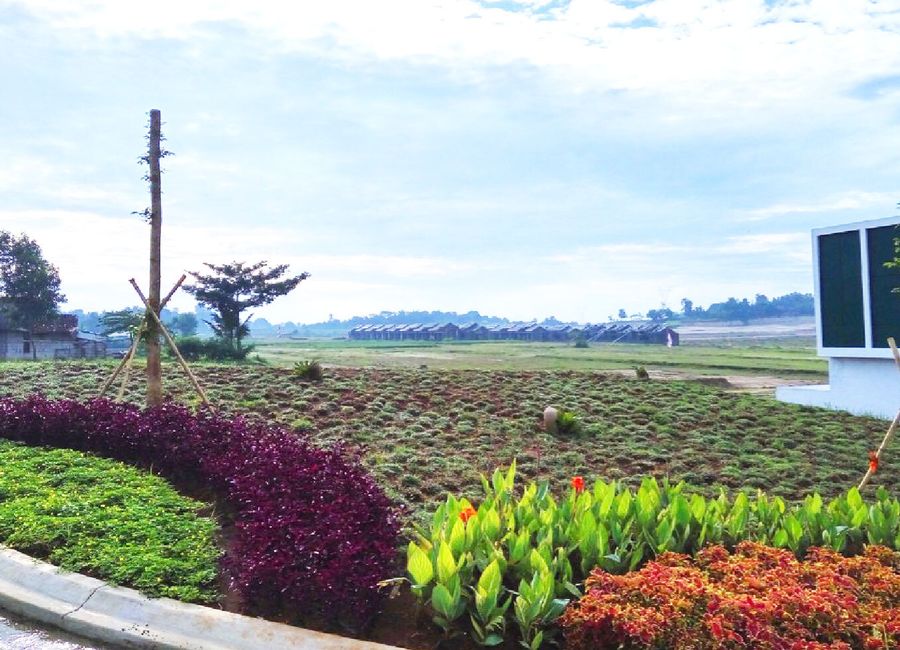 place photo 17