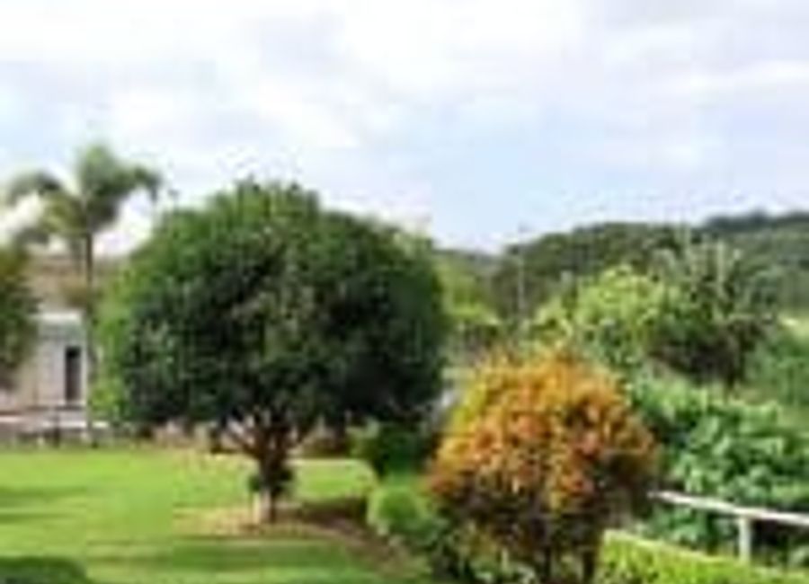 Madrid Avenue, Palma Real Residential Estates, Malamig, Biñan, Laguna image 3