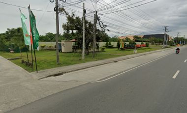 For Sale 1042 sqm Lot Only in Eldora along Butuan City-Cagayan De Oro City-Iligan City Road, Brgy. Ampayon, Butuan City, Agusan Del Norte