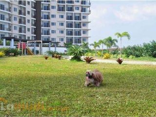 Garden Homes at Circulo Verde