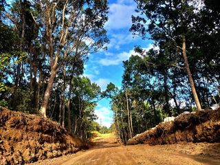 Verterra Highlands Residential Lots in Tanay Rizal overlooking sea of clouds